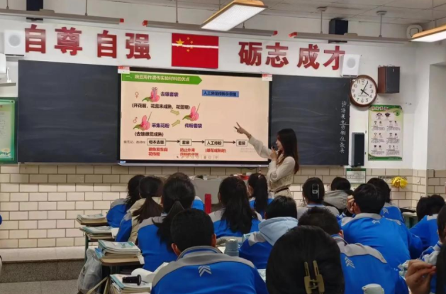 玩家最多可携带3只灵兽参战主战灵兽可在战役中耗费积累能量